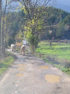 W stadzie do początku szlaku