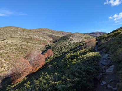 Nasza ścieżka; w oddali trochę z lewej jest Matagalls z krzyżem, do którego zmierzamy