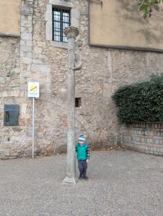 Lew i zakaz całowania w tyłek