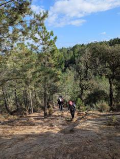 Intensywne podejście