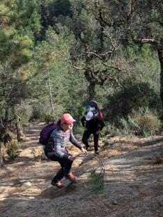 Bardziej stromo niż się wydaje