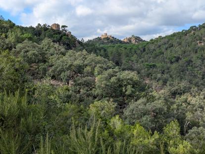 W oddali Castell de Farners