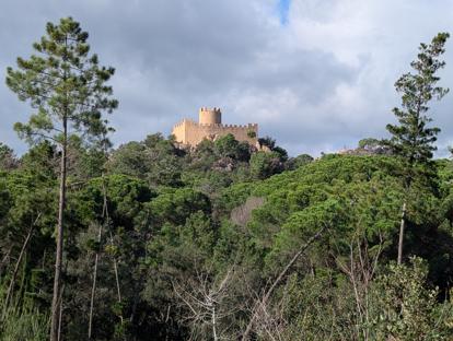 Castell de Farners (414 m)